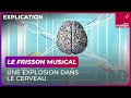 Le frisson musical, une explosion dans le cerveau - CulturePrime