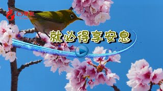 【C3詩歌】就必得享安息（原創）