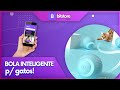 Brinquedo de Bola Inteligente e Interativa para Gatos | Só na BitStore c/ Frete Grátis!