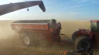 Huge farm in Alberta canada over 65 000 acres B\u0026D WALTER FARMS Walter's harvesting