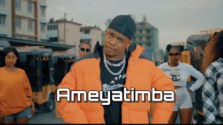 Whozu ft Billnass - Ameyatimba ( Video Cover) Bonyenza @Directoryguno kisha Subscribe