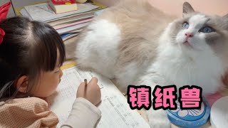 果然家里养猫的孩子学习都好不了