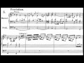 J. S. BACH: EIGHT SHORT PRELUDES AND FUGUES BWV 553-560 (complete) - [DENES KAPITANY]