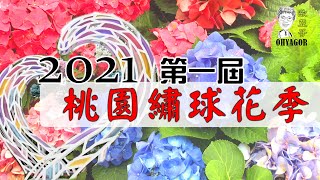 2021桃園繡球花季(防疫 活動取消) 復興區枕頭山商圈與2.2公里步道 好拍好看的中興花卉農場與基國派老教堂