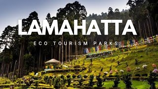 Lamahatta l Lamahatta Eco Tourism Park l Lamahatta Eco Park l Best Sightseeing in Darjeeling