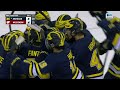 michigan at wisconsin highlights big ten hockey 01 25 2025