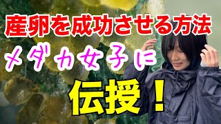 世界メダカ奇行( ・∇・)島根県松江市春のメダカ女子マッキーの飼育場へ突撃前編