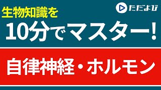 【生物 一問一答】自律神経・ホルモン【第67講】*