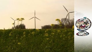 Does This Danish Island Hold the Secret for Saving the Environment?