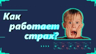 Страх. Как работает страх? Как устроен и какие виды страха бывают.