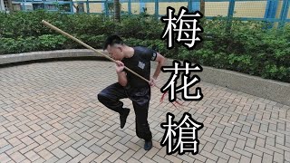 4k60 | 嶺南洪拳虎鶴派 梅花槍 | Hung Gar Kung Fu Tiger Crane Style Spear