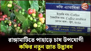 রাঙ্গামাটিতে পাহাড়ে চাষ উপযোগী কফির নতুন জাত উদ্ভাবন | Rangamati | Coffee | Channel 24