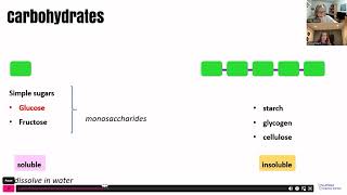 Biological Molecules