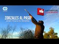 ZORZALES AL PASO, GRAN TIRADA EXTREMEÑA