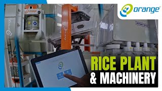 Full Rice Mill Setup by Orange Sorting | Cutting-Edge Machinery and Rice Plant Showcase