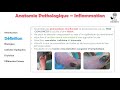 anatomie pathologique inflammation