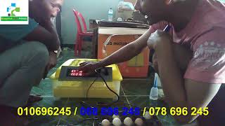 Incubator 56 eggs for Chickens / ទូភ្ញាស់ពងមាន់៥៦​គ្រាប់