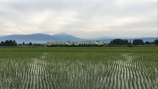 『キハ40系[423D]』2017/6/18(JR只見線・新鶴駅～若宮駅) つながれつながれ只見線