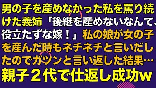 スカッとする話　男の子を産めなかった私を罵り続けた義姉「後継を産めないなんて、役立たずな嫁！」私の娘が女の子を産んだ時もネチネチと言いだしたのでガツンと言い返した結果…親子２代で仕返し成功w