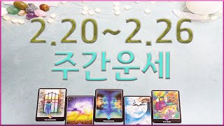 #타로/ 주간운세     2월 20일  ~  2월 26일   주간운세