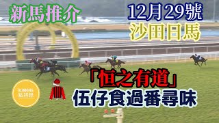 12月29號沙田日馬：蕭家爭打比點只有「米奇」，伍仔精挑細選長途新血，打比準備見真章 - 《Running點將錄》新馬推介