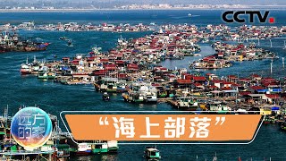 这个“海上部落”世代生活在渔排上！如今疍家人的生活有啥变化吗？走进有着100多年历史的海上村庄 20211213 |《远方的家》CCTV中文国际