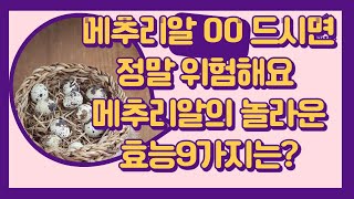 메추리알 00 드시면 정말 위험해요  메추리알의 놀라운 효능9가지는?