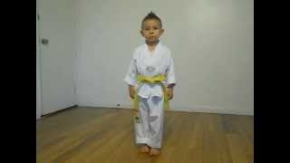 Taegeuk 1/ Taegeuk IL Jang/ yellow belt poomsae/ 5yr old