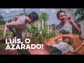 Luíz, o Azarado! Comédia Nordestina 2022  #filmes #Luiz  #azarado #comédia.    @Humoreuclidense