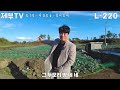 더 싼걸 찾으세요 l 220 일단 이거 먼저 보시고 그 다음에 이야기 하시자구요 제주도 부동산 매물 jeju house for sale korea 제주도부동산tv