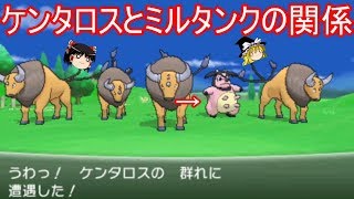 ケンタロスとミルタンクの謎の関係性【ポケモン】【ゆっくり実況】