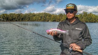 Choosing the Right Equipment for Magnum Swimbaits