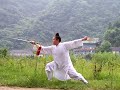 wudang dan jian demonstrated by master yuan li ming 武當丹劍 袁理敏演示