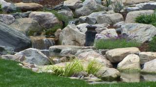 Trout Pond with Waterfalls: A Dream Come True