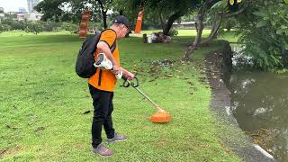 Memotong rumput dengan mesin pemotong rumput baterai STIHL FSA 60 R.