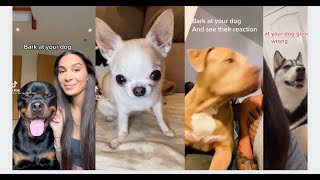 BARK At Your Dog and Watch Their Reaction Compilation TIK TOK Challenge 2