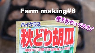 農園づくり【Farm making#8】秋どり胡瓜の種まきをやってみた♪