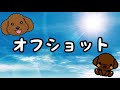 どんどん近づいていくふたりの距離…。【トイプードルそぼろ＆ニコ】