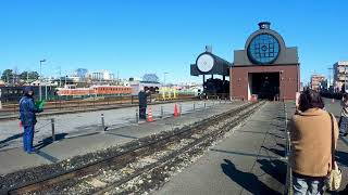 187_【SL D51　真岡鐡道4K】D51 type steam locomotive No. 146.　D51形蒸気機関車146号機が元気に汽笛を鳴らしていました。