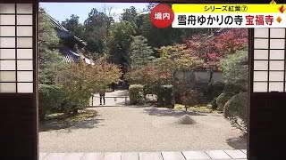 雪舟ゆかりの寺・総社市の宝福寺　境内彩る約２０００本のモミジ　方丈の特別公開も【シリーズ紅葉　岡山】 (23/11/15 11:30)