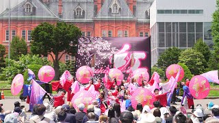 [4K] tokachi紅　YOSAKOIソーラン祭り 2023 日曜日