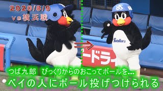 つば九郎　一色触発？　ベイのスタッフさんにボール投げつけられる　2020/8/9　vs横浜