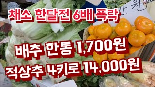 배추6통 만원, 적상추 4키로 박스 만4천원  등  한달전 가격의 1/6 의 가격 [경동시장]