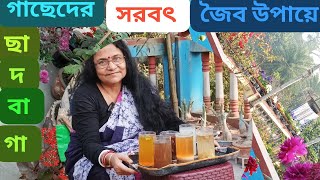 আমি গাছেদের এই সরবৎ খাওয়াই//I feed the trees these drinks