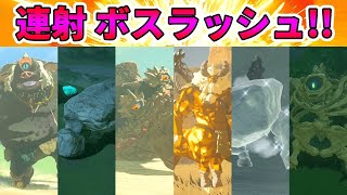 【ゼルダの伝説】爆弾矢連射で爽快！爆弾矢ボスラッシュ！！【実況プレイ】ブレスオブザワイルド Nintendo Switch Part294