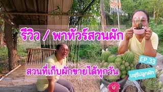 [EP.33] พาทัวร์สวนผักง่ายๆ  สบายๆ  ในวันสงกรานต์​ สวนที่สร้างรายได้ได้ทุกวัน | มยุรีปลูกผัก