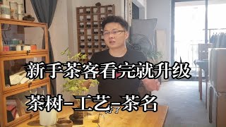 新手茶客看完就升级，茶树-工艺-茶名，龙井，九曲红梅，碧螺春啊，毛尖，银针这些是茶树品种吗