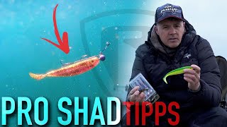 Mit DIESEM Köder fängt JEDER Hechte | Fox Rage PRO SHAD | Hechtangeln | Raubfischangeln