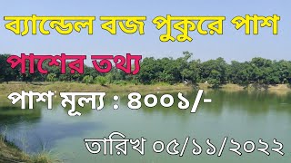 ব্যান্ডেল কোড়লা কালীবাড়ি বজ পুকুরে নতুন পুকুর পাশ। bendal new pass pukur opening 🐟🐟