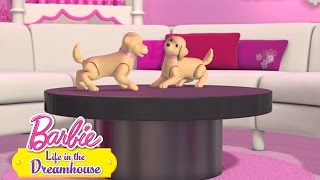 Latinoamérica: Life in the Dreamhouse - Mascotas al mayoreo | @Barbie